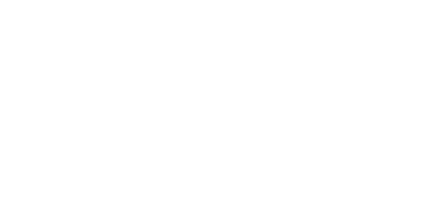 에볼루션 게이밍 logo