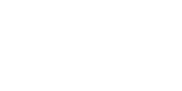넷엔터테인먼트 logo